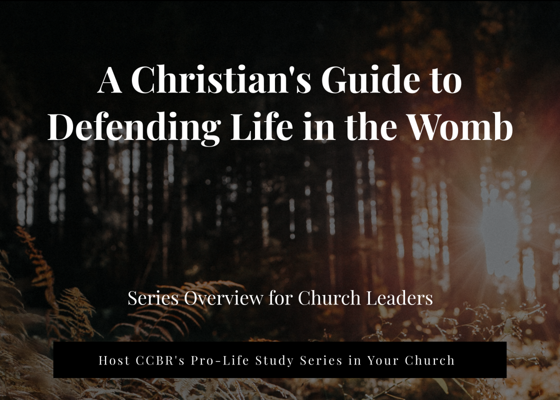 A Christian's Guide to Defending Life in the Womb