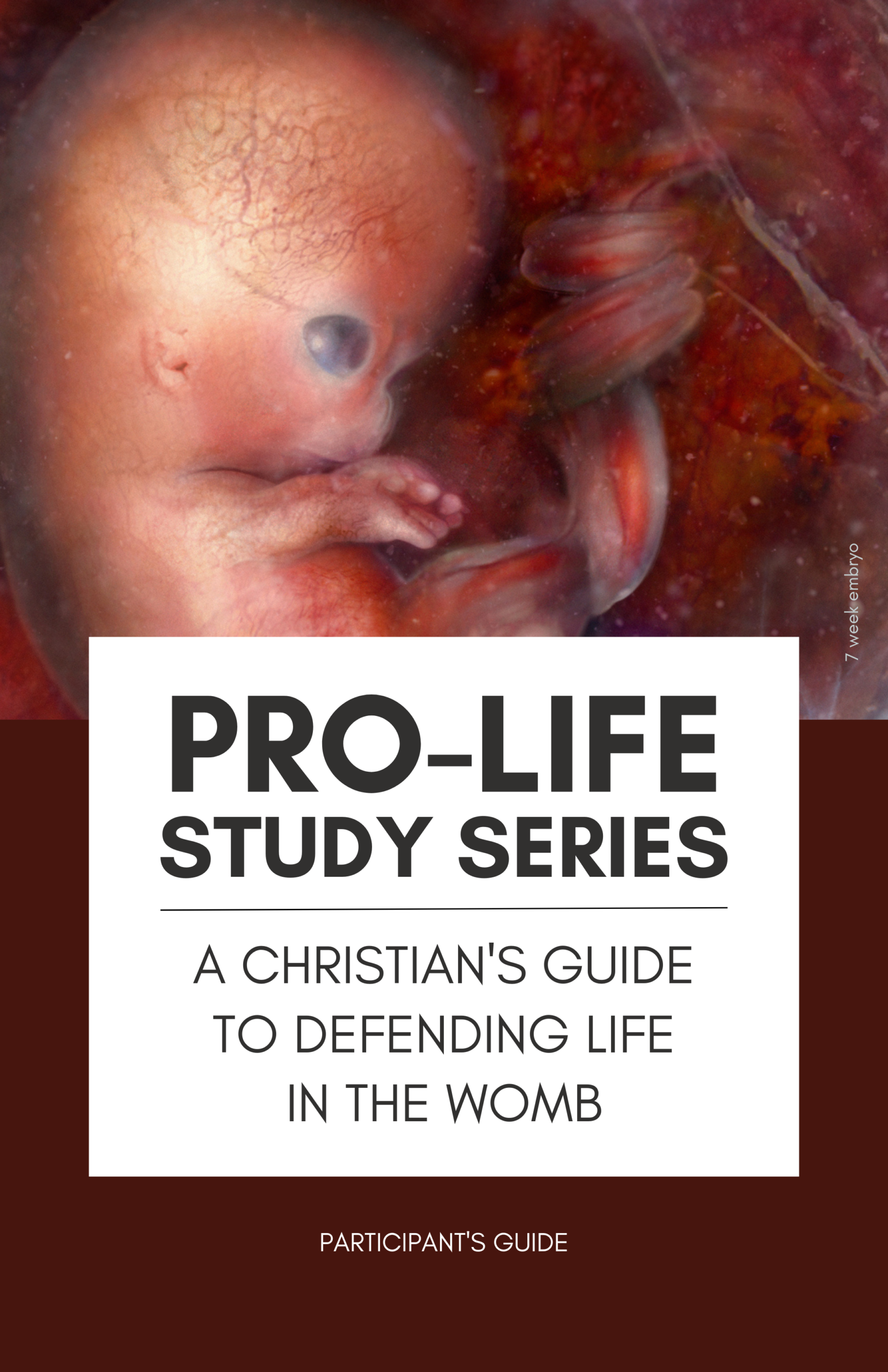 Study Series: Participant's Guide